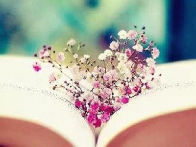 主题学习网站与网页课件的区别-职业技能培训