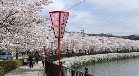 哪些因素会影响更新日本留学签证? - 日本留学