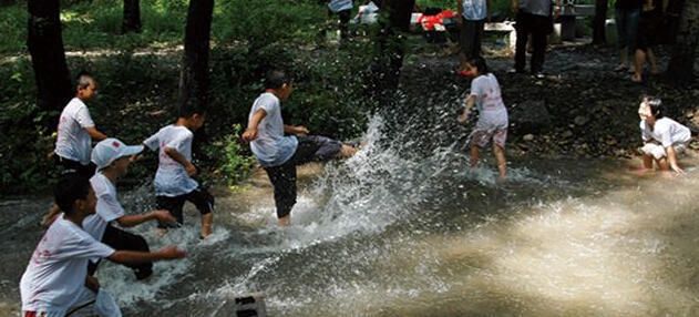 现在孩子与以往孩子比有什么不同