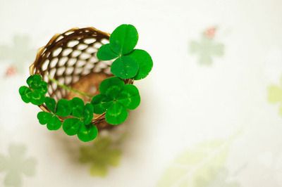 哪家健身培训机构好